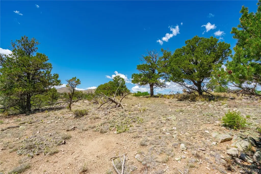 896 Shannon Trail Cotopaxi CO 81223