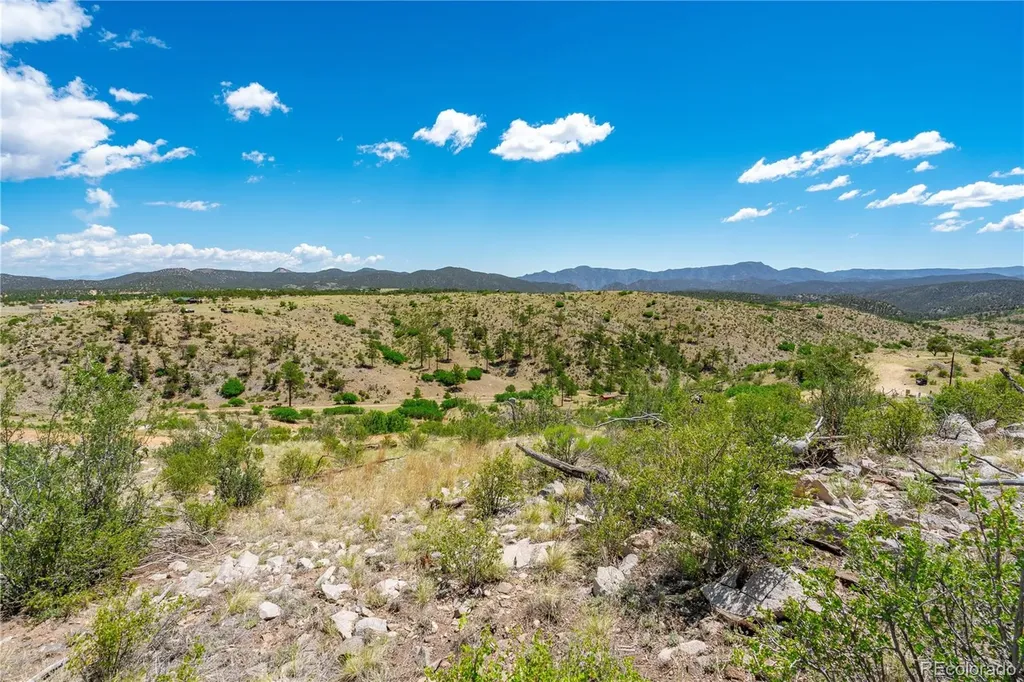 896 Shannon Trail Cotopaxi CO 81223
