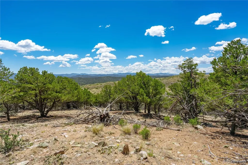 896 Shannon Trail Cotopaxi CO 81223