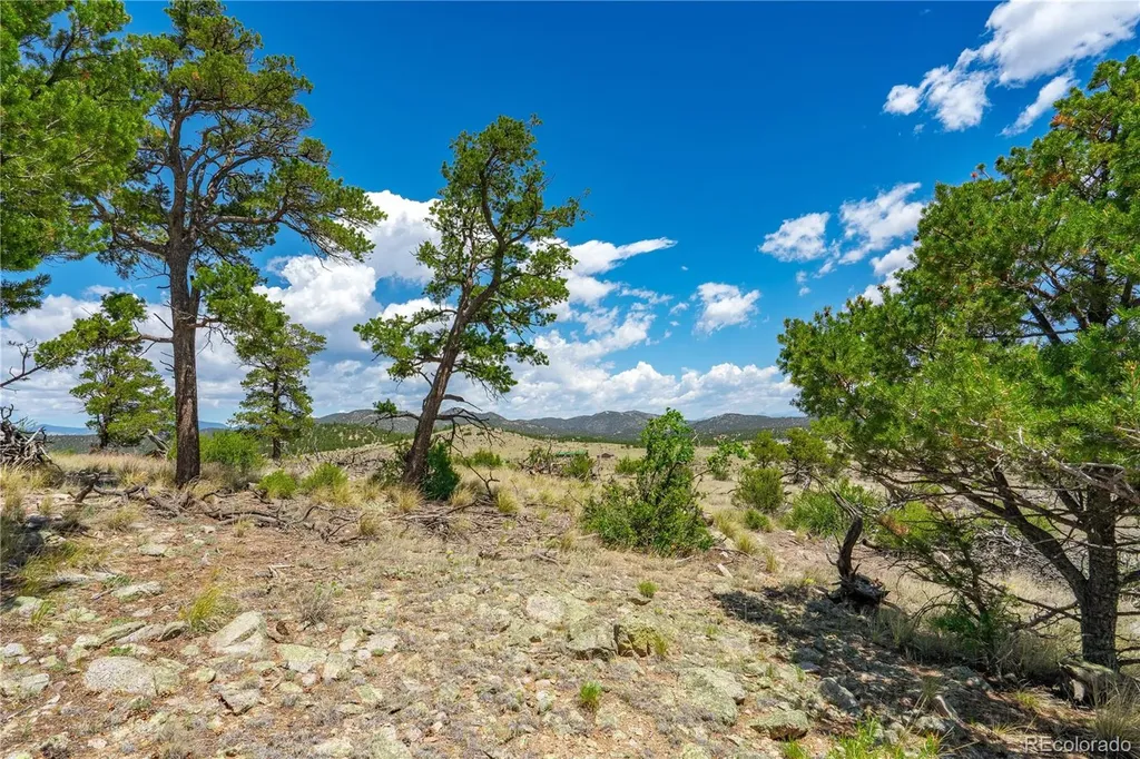 896 Shannon Trail Cotopaxi CO 81223