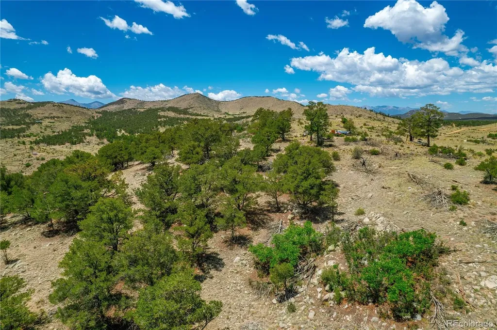 896 Shannon Trail Cotopaxi CO 81223