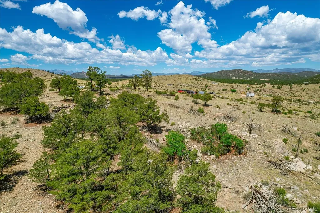 896 Shannon Trail Cotopaxi CO 81223