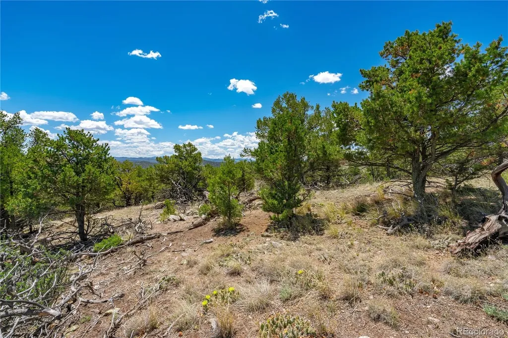 896 Shannon Trail Cotopaxi CO 81223