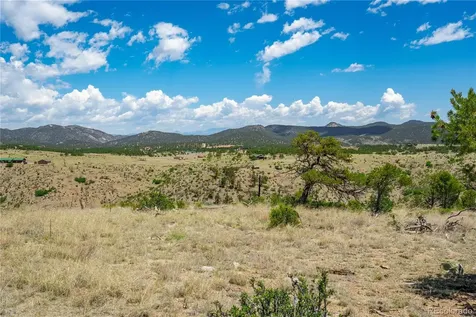 896 Shannon Trail Cotopaxi CO 81223