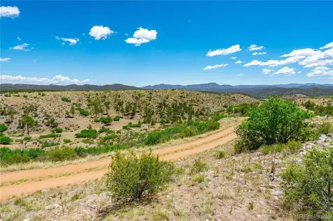 896 Shannon Trail Cotopaxi CO 81223