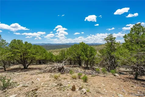 896 Shannon Trail Cotopaxi CO 81223