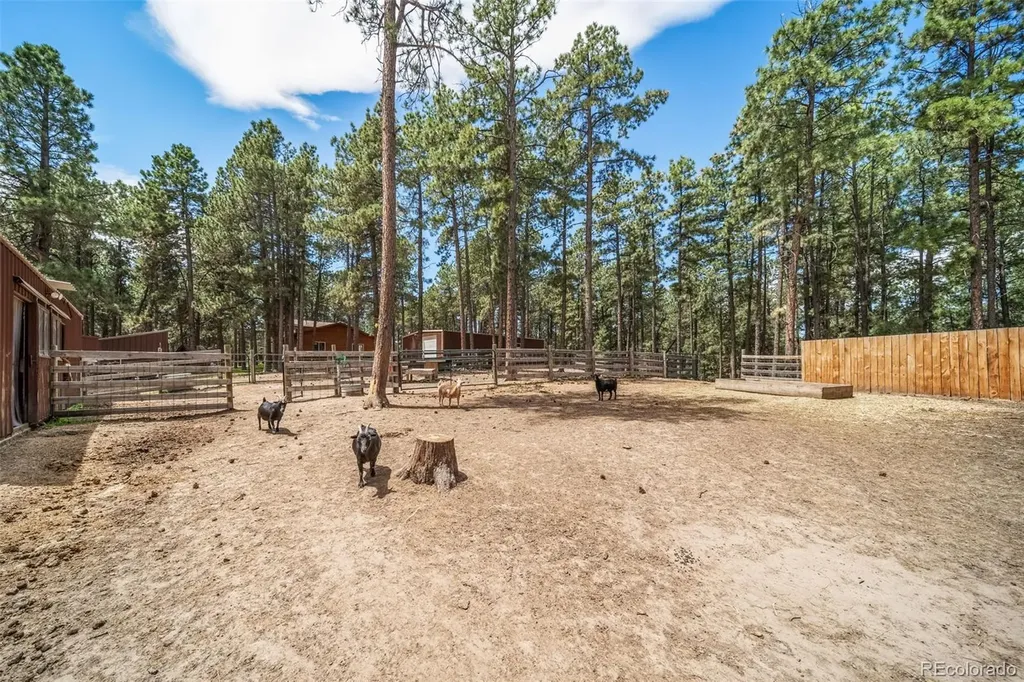 3654 Estates Circle Larkspur CO 80118