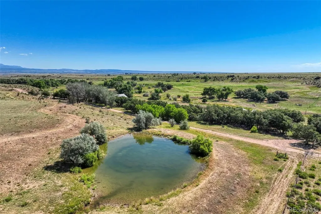 1218 Colunty Road 32x Wetmore CO 81226