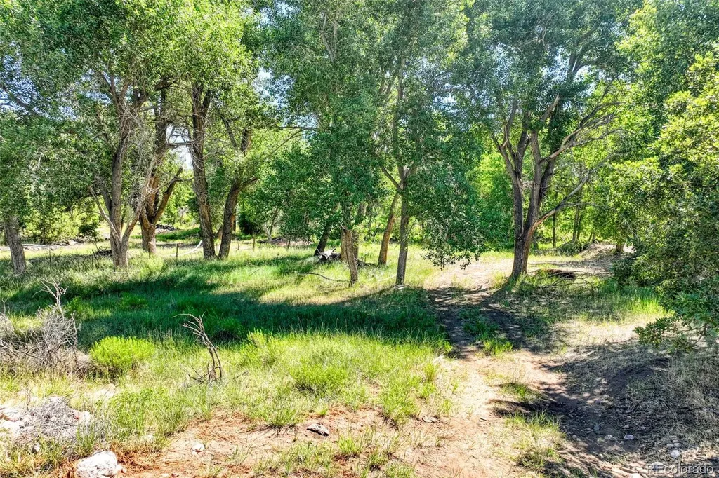 1218 Colunty Road 32x Wetmore CO 81226