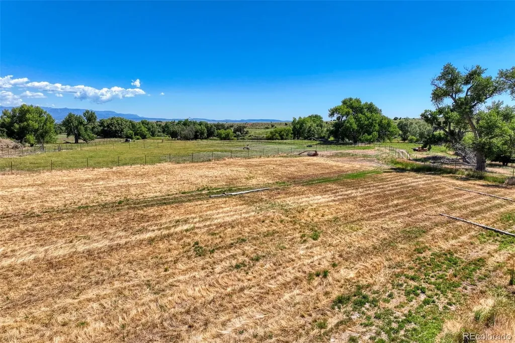 1218 Colunty Road 32x Wetmore CO 81226