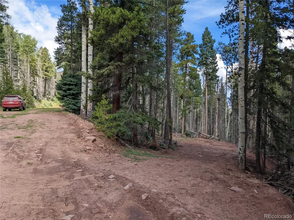 2379 Larry Place Fort Garland CO 81133