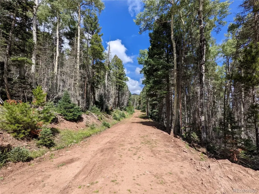 2379 Larry Place Fort Garland CO 81133