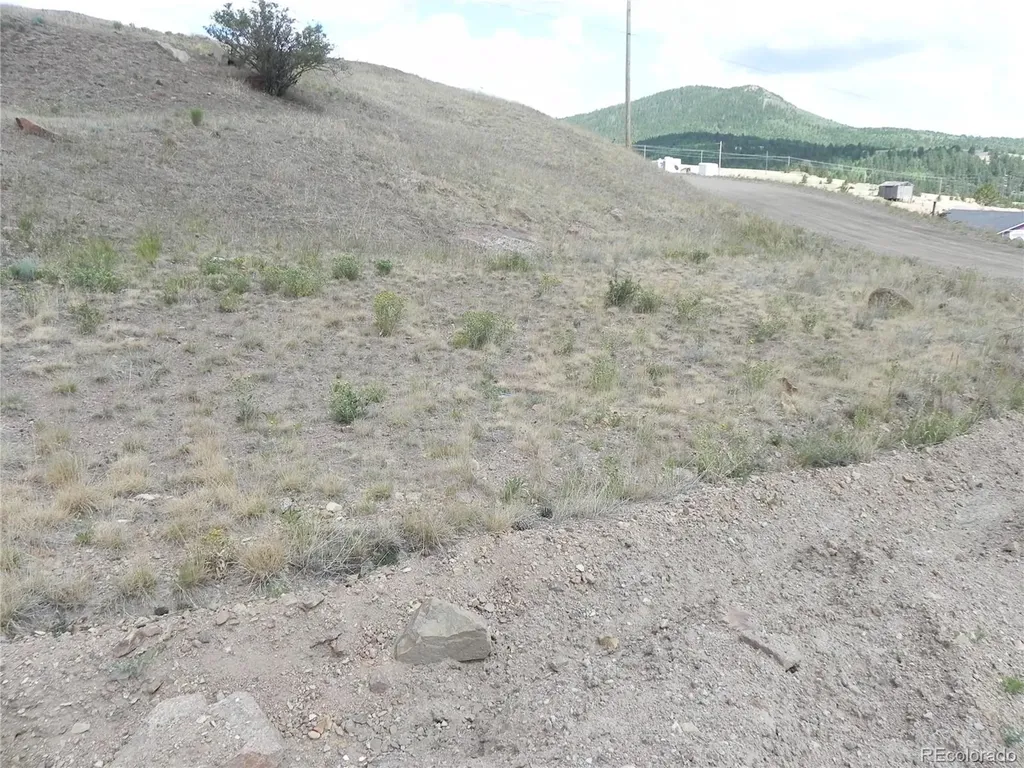 Lot 17-18 S 3rd Street Victor CO 80860