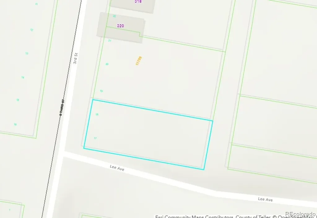 Lot 17-18 S 3rd Street Victor CO 80860