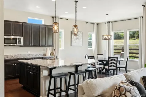6883 Mentha Drive Castle Rock CO 80108