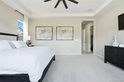 6883 Mentha Drive Castle Rock CO 80108