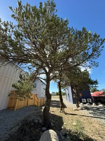 422 Pinon Street Buena Vista CO 81211