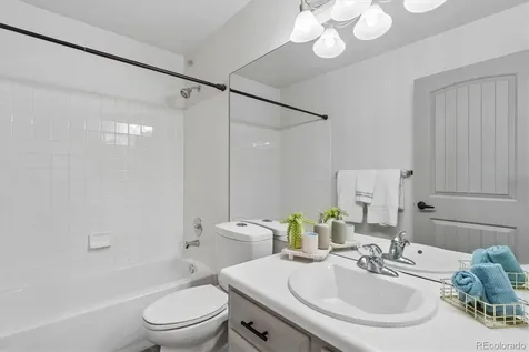 5247 E Hamilton Avenue Castle Rock CO 80104