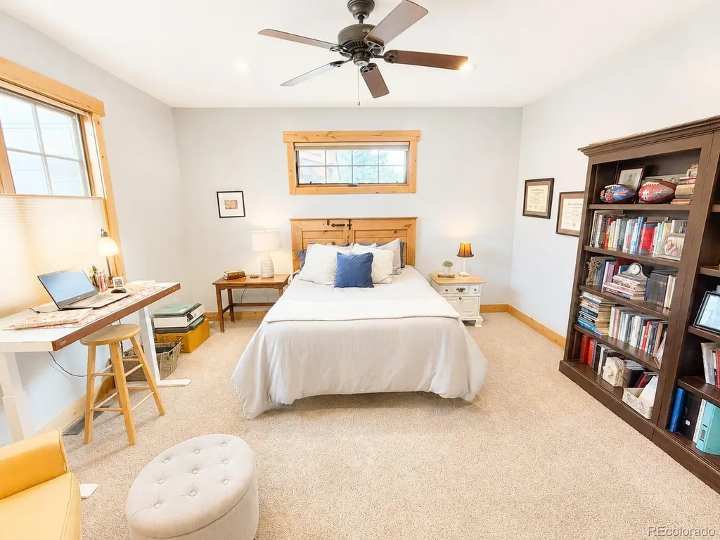 121 Meadow Lane Buena Vista CO 81211
