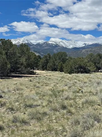 12510 Country Meadow Lane Salida CO 81201