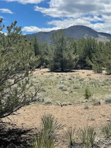 12510 Country Meadow Lane Salida CO 81201