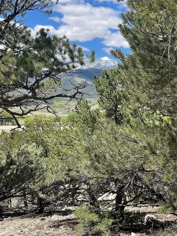12510 Country Meadow Lane Salida CO 81201