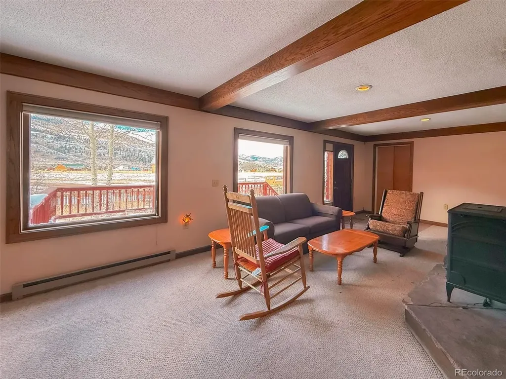 206 La Font Drive Creede CO 81130