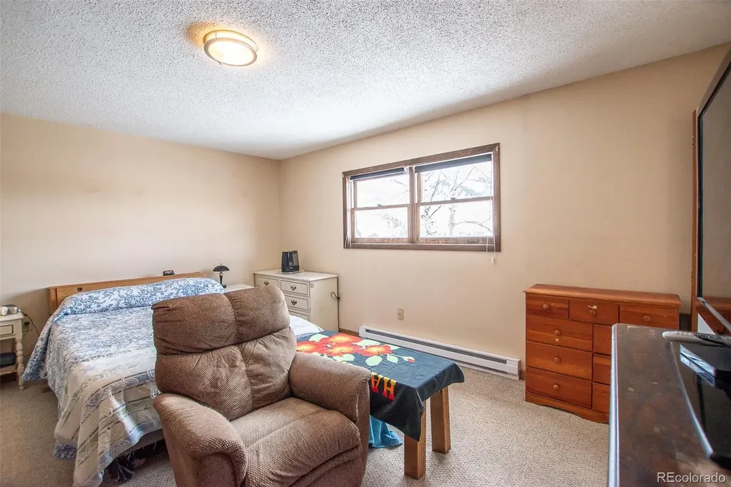 206 La Font Drive Creede CO 81130
