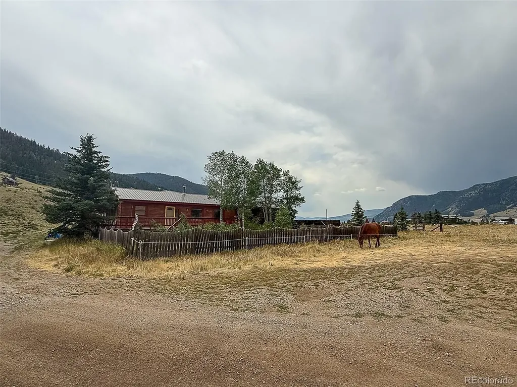 206 La Font Drive Creede CO 81130