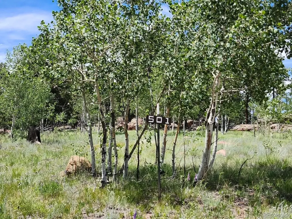 501 Cr-403 Florissant CO 80816