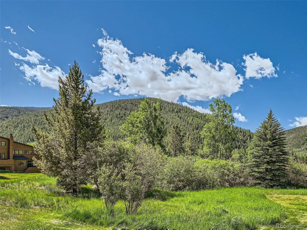 620 Tennis Club Road Dillon CO 80435