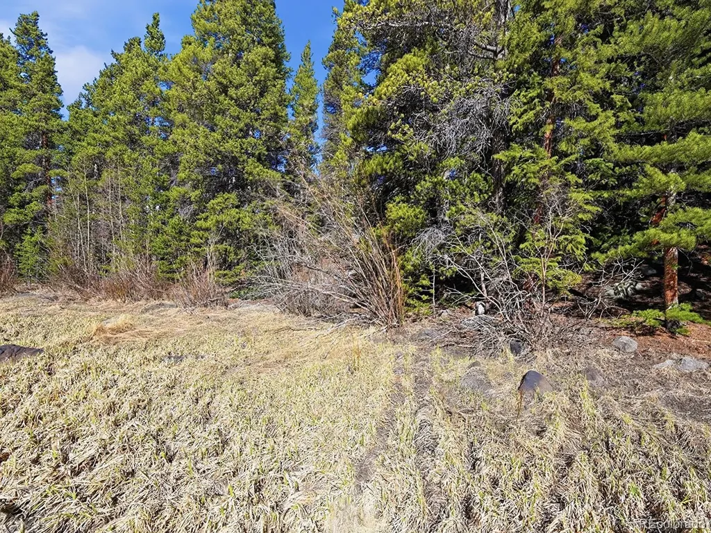 Lot 36 Overlook Court Idaho Springs CO 80452