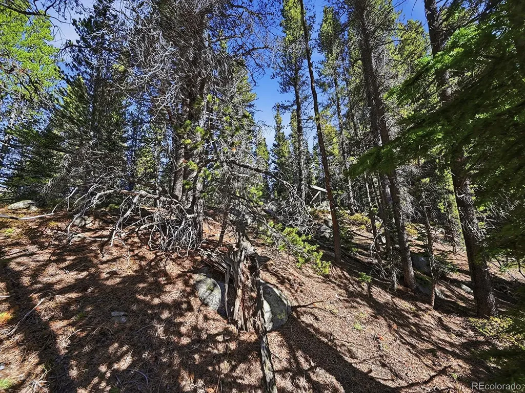 Lot 36 Overlook Court Idaho Springs CO 80452
