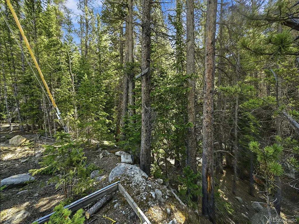 Lot 36 Overlook Court Idaho Springs CO 80452