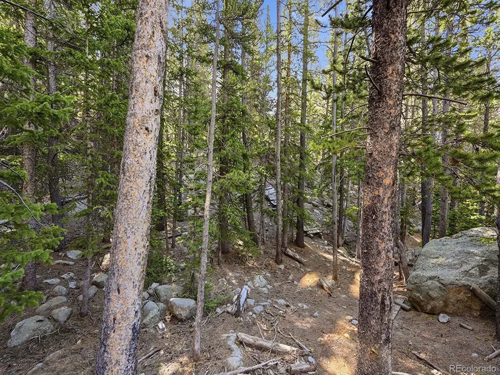 Lot 36 Overlook Court Idaho Springs CO 80452