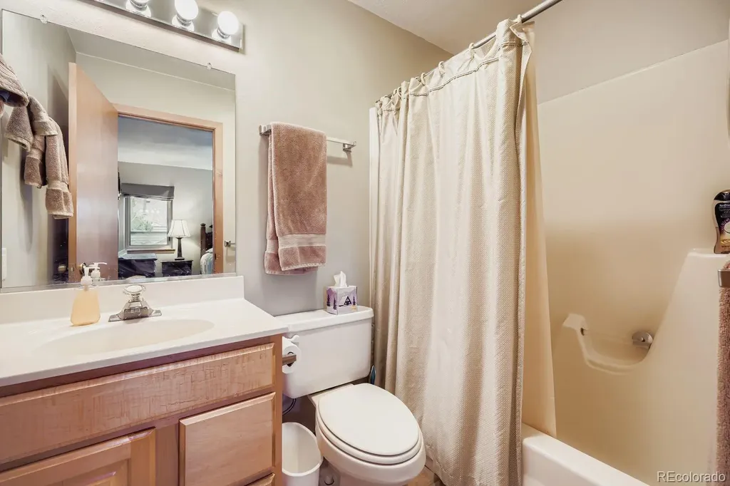 323 Twenty Grand Drive Silverthorne CO 80498