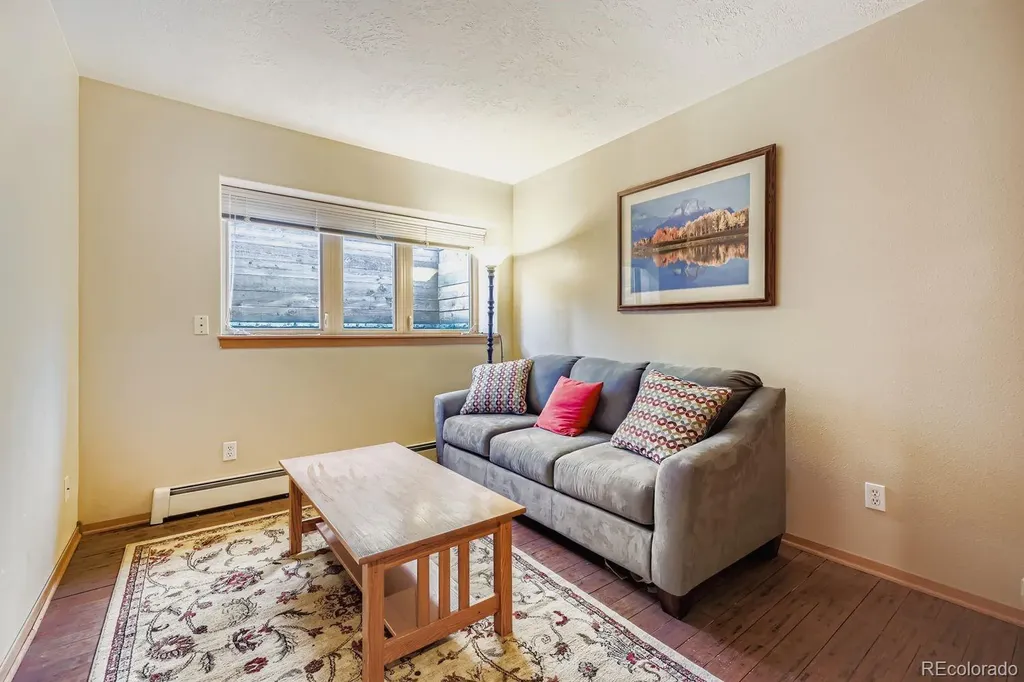 323 Twenty Grand Drive Silverthorne CO 80498