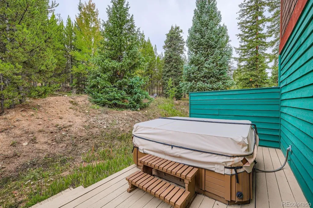323 Twenty Grand Drive Silverthorne CO 80498