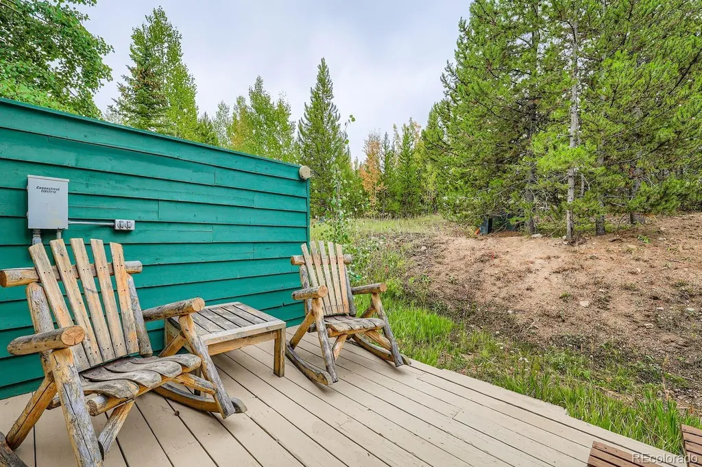 323 Twenty Grand Drive Silverthorne CO 80498