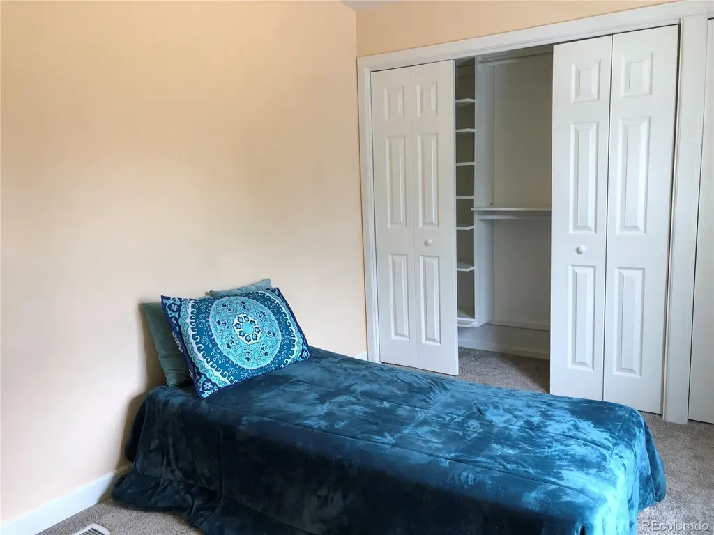 169 Daisy Street Woodland Park CO 80863