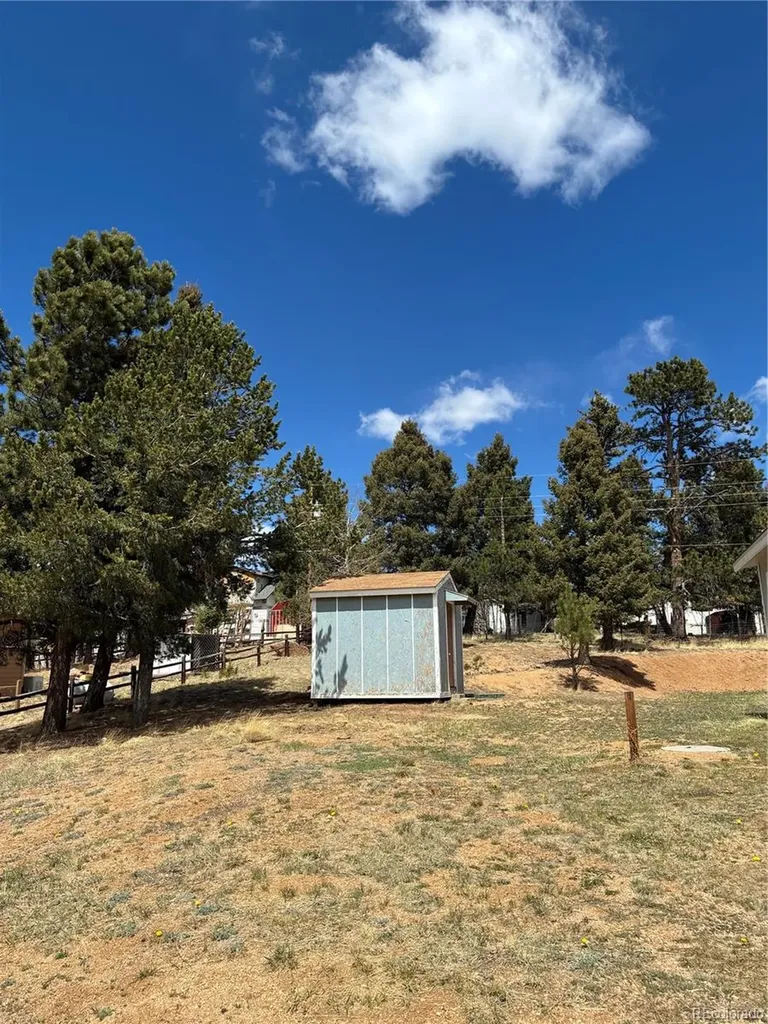 169 Daisy Street Woodland Park CO 80863