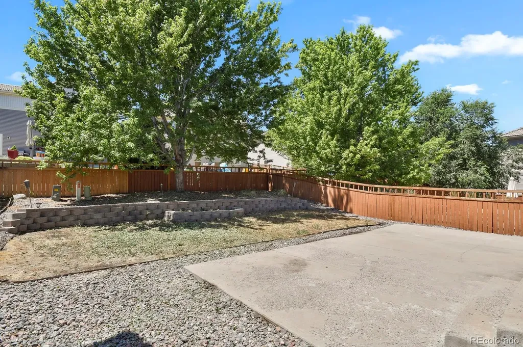 3742 Dinosaur Street Castle Rock CO 80109