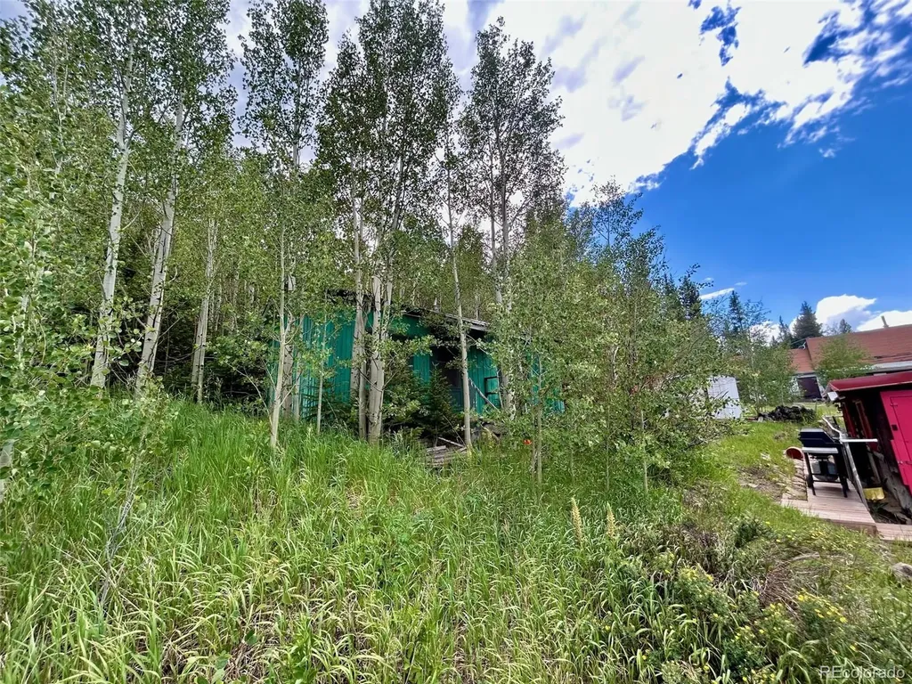 5004 Tolland Road Rollinsville CO 80474