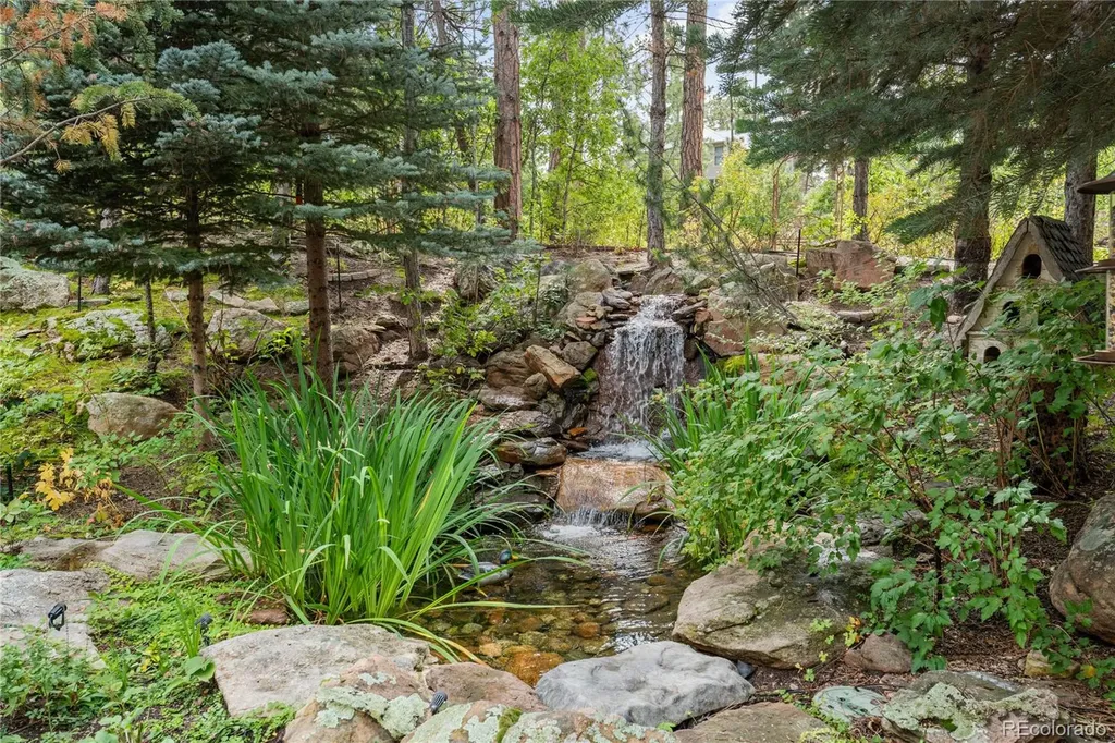331 Paragon Way Castle Rock CO 80108