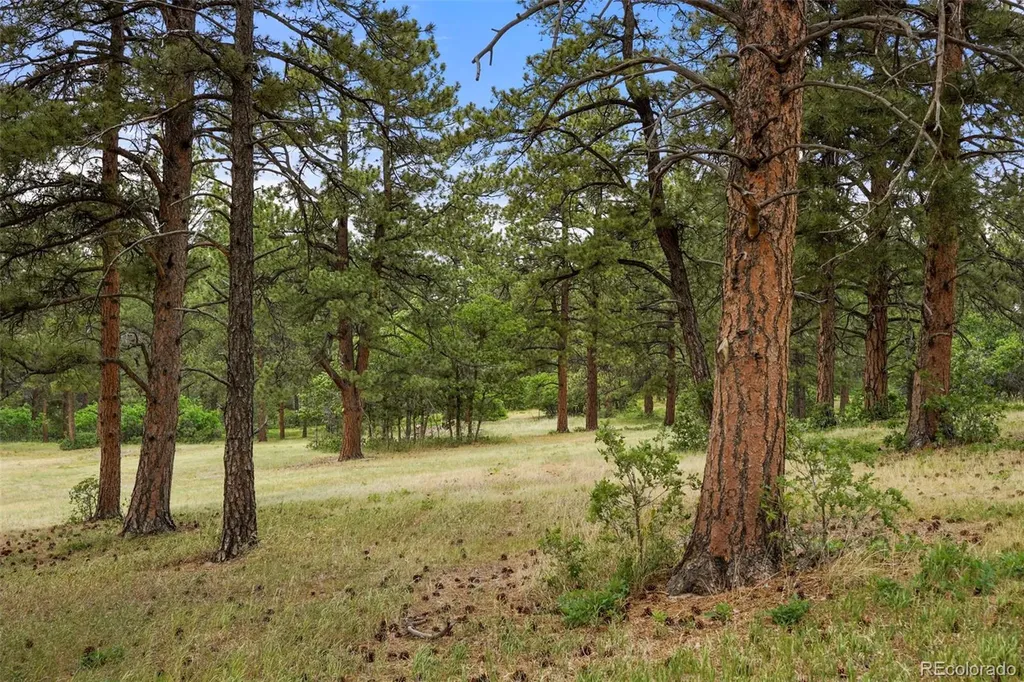 9610 S Perry Park Road Larkspur CO 80118