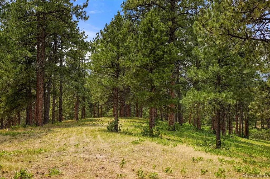 9610 S Perry Park Road Larkspur CO 80118