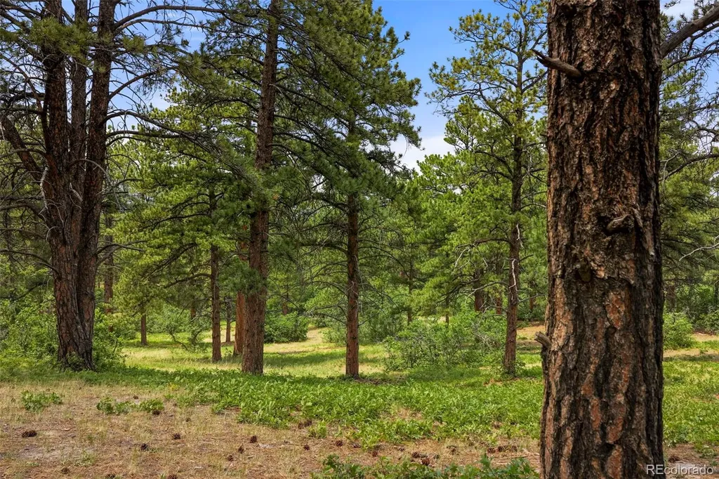 9610 S Perry Park Road Larkspur CO 80118