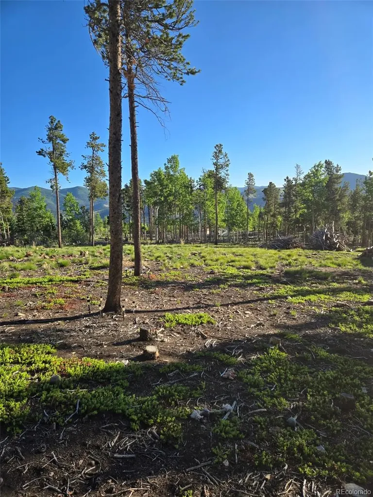 000 Frank C Idaho Springs CO 80452