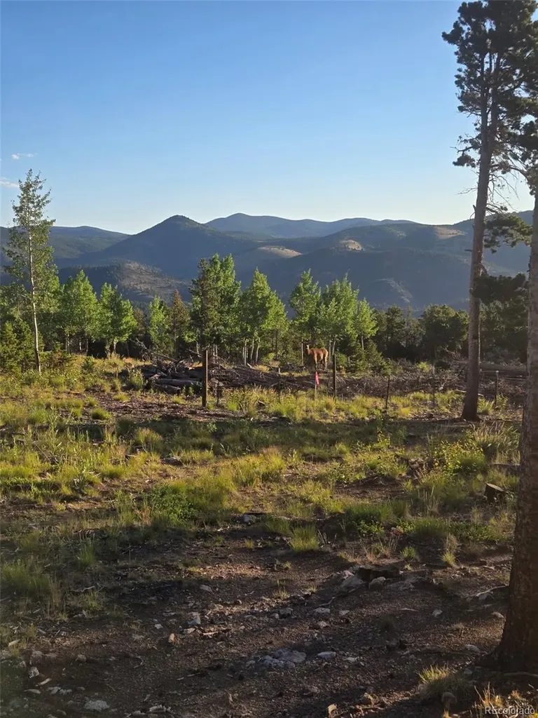 000 Frank C Idaho Springs CO 80452