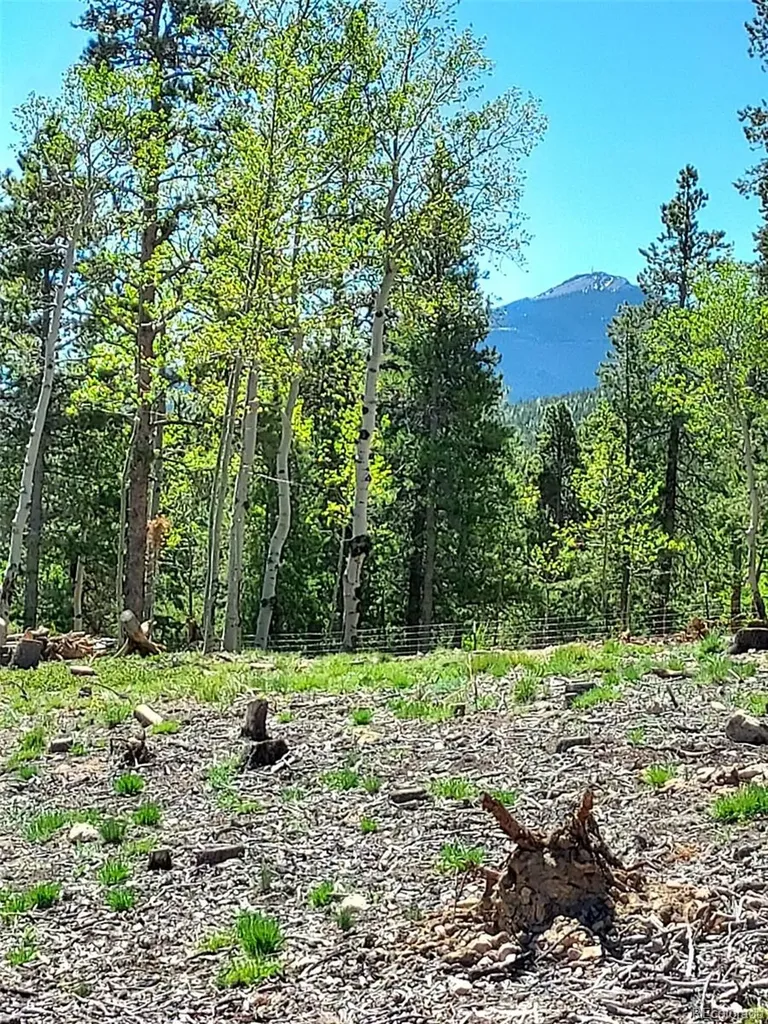 000 Frank C Idaho Springs CO 80452